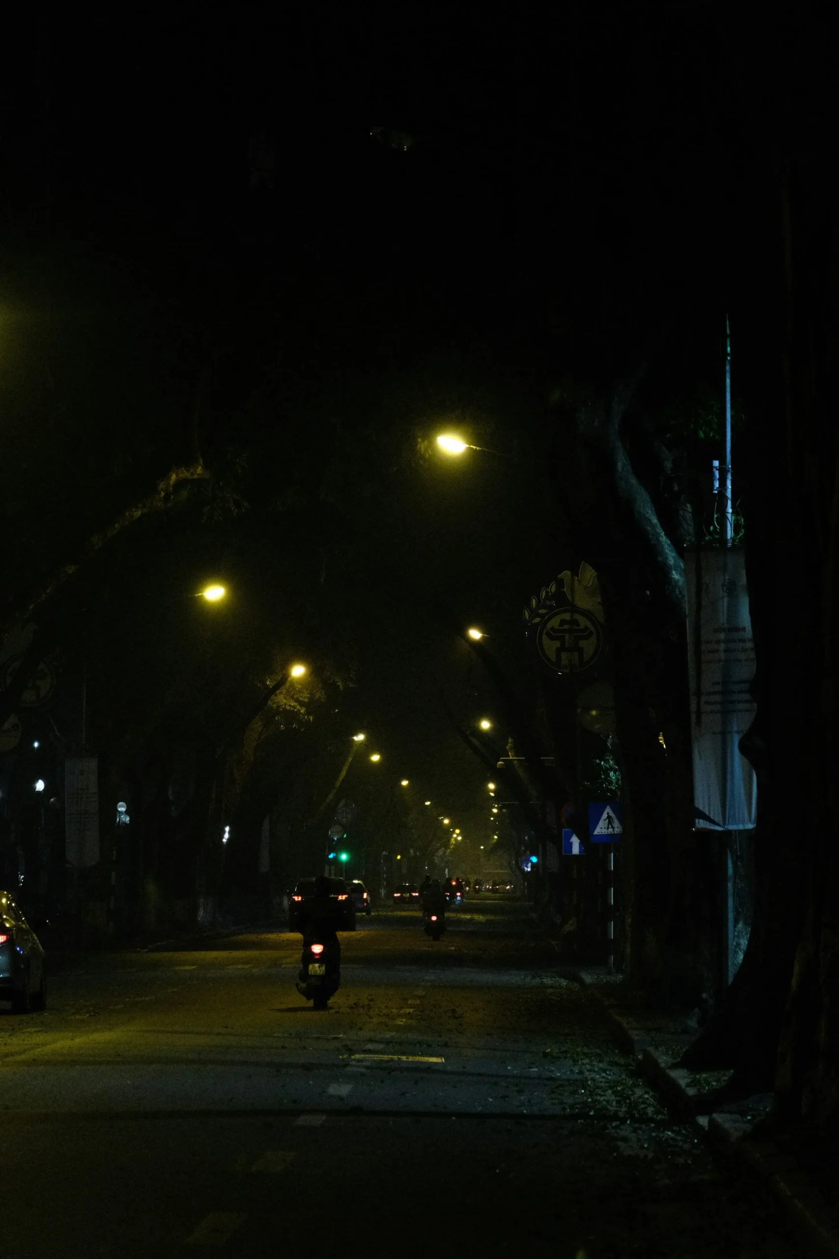 Solar Street Lights at Night